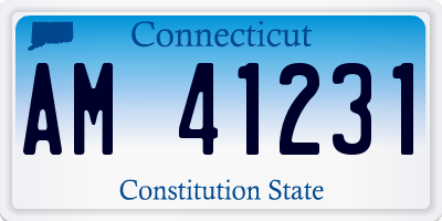CT license plate AM41231