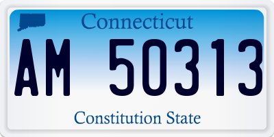 CT license plate AM50313