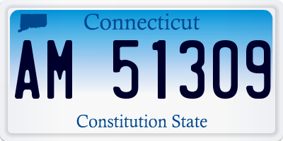 CT license plate AM51309