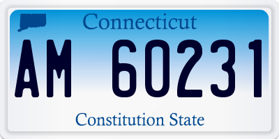 CT license plate AM60231
