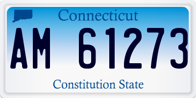 CT license plate AM61273