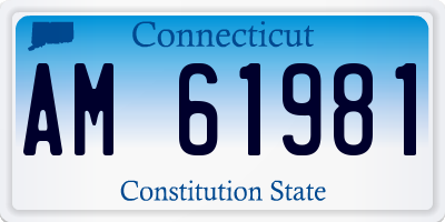 CT license plate AM61981