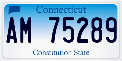 CT license plate AM75289
