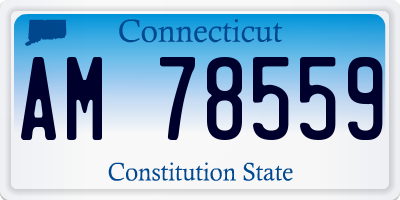 CT license plate AM78559