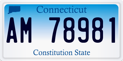 CT license plate AM78981
