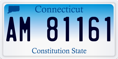 CT license plate AM81161