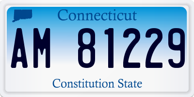CT license plate AM81229