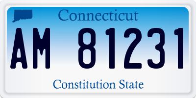 CT license plate AM81231