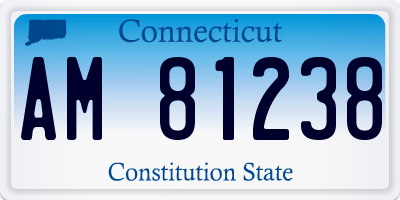 CT license plate AM81238