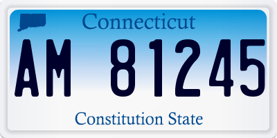 CT license plate AM81245