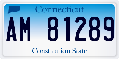 CT license plate AM81289