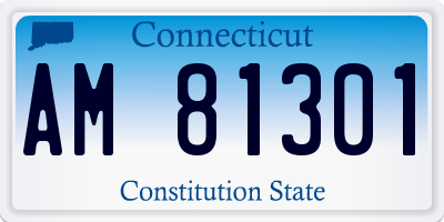 CT license plate AM81301