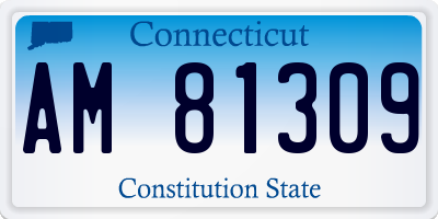 CT license plate AM81309