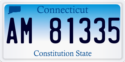 CT license plate AM81335