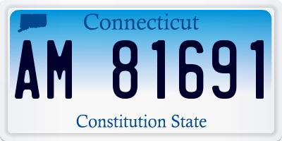 CT license plate AM81691