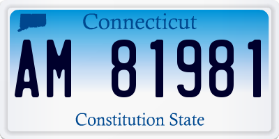 CT license plate AM81981