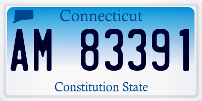 CT license plate AM83391