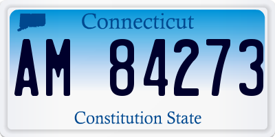 CT license plate AM84273