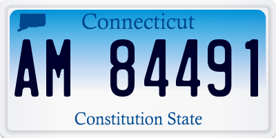 CT license plate AM84491