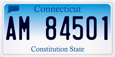 CT license plate AM84501