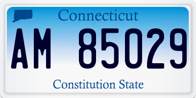 CT license plate AM85029