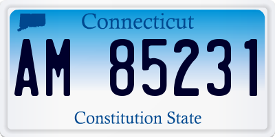 CT license plate AM85231