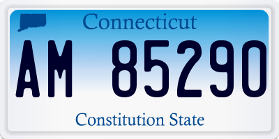 CT license plate AM85290