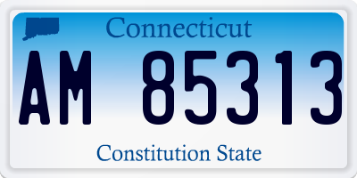 CT license plate AM85313