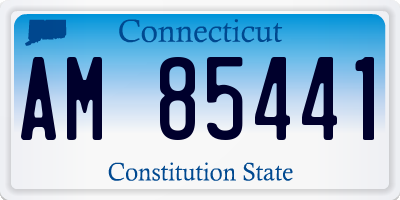 CT license plate AM85441
