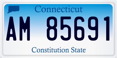 CT license plate AM85691