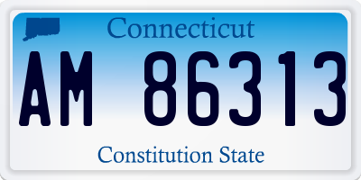 CT license plate AM86313