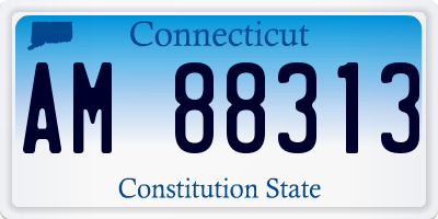 CT license plate AM88313