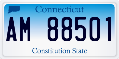 CT license plate AM88501