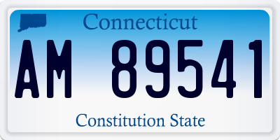 CT license plate AM89541