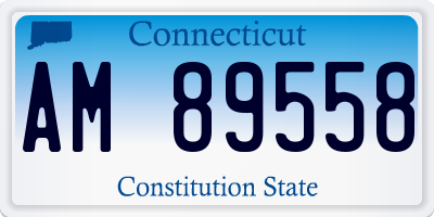 CT license plate AM89558