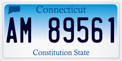 CT license plate AM89561