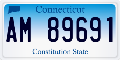 CT license plate AM89691