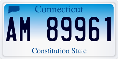 CT license plate AM89961