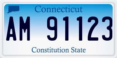 CT license plate AM91123