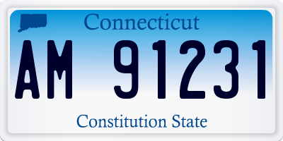 CT license plate AM91231