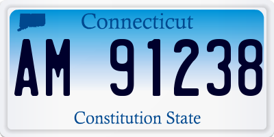 CT license plate AM91238