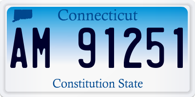 CT license plate AM91251