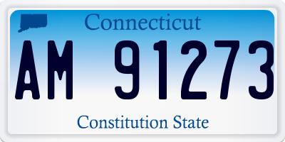 CT license plate AM91273
