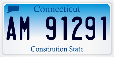 CT license plate AM91291