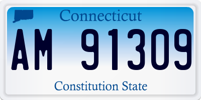 CT license plate AM91309