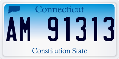 CT license plate AM91313