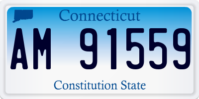 CT license plate AM91559