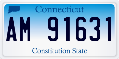 CT license plate AM91631