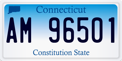 CT license plate AM96501