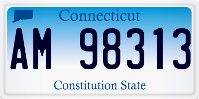 CT license plate AM98313